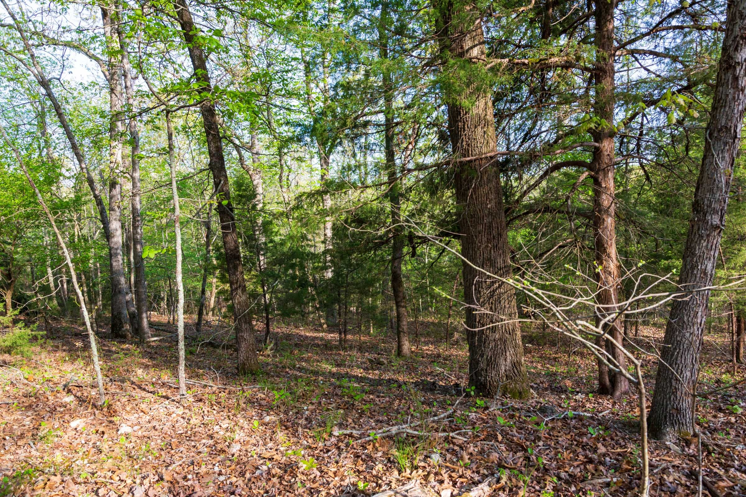 Tract 19 at Autumnwood in Fulton County, Arkansas