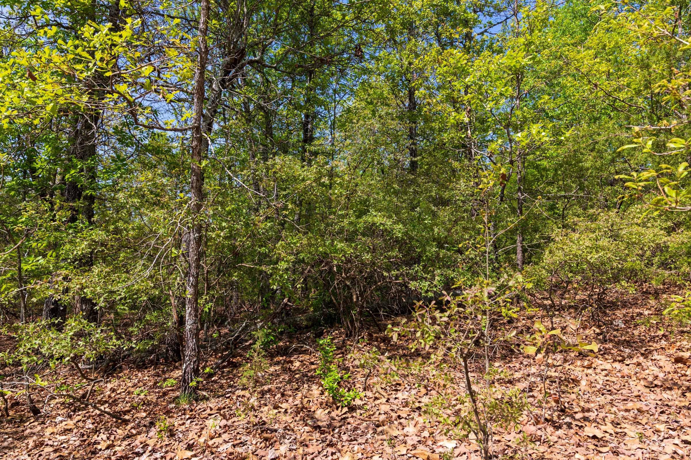 Tract 2 at Autumnwood in Fulton County, Arkansas