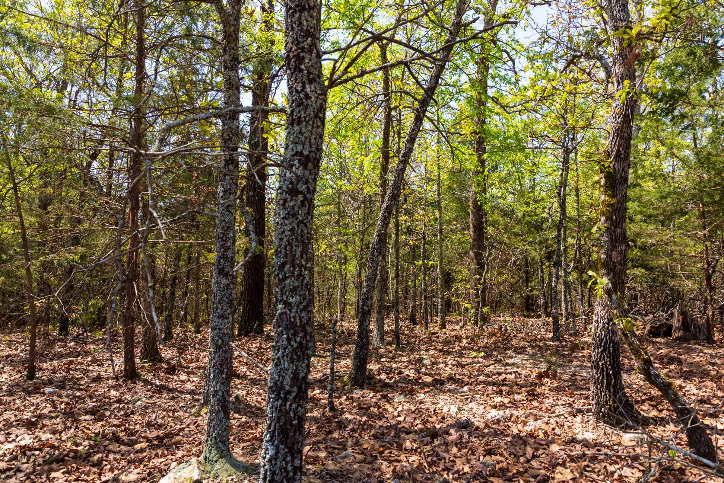 Tract 3 at Autumnwood in Fulton County, Arkansas