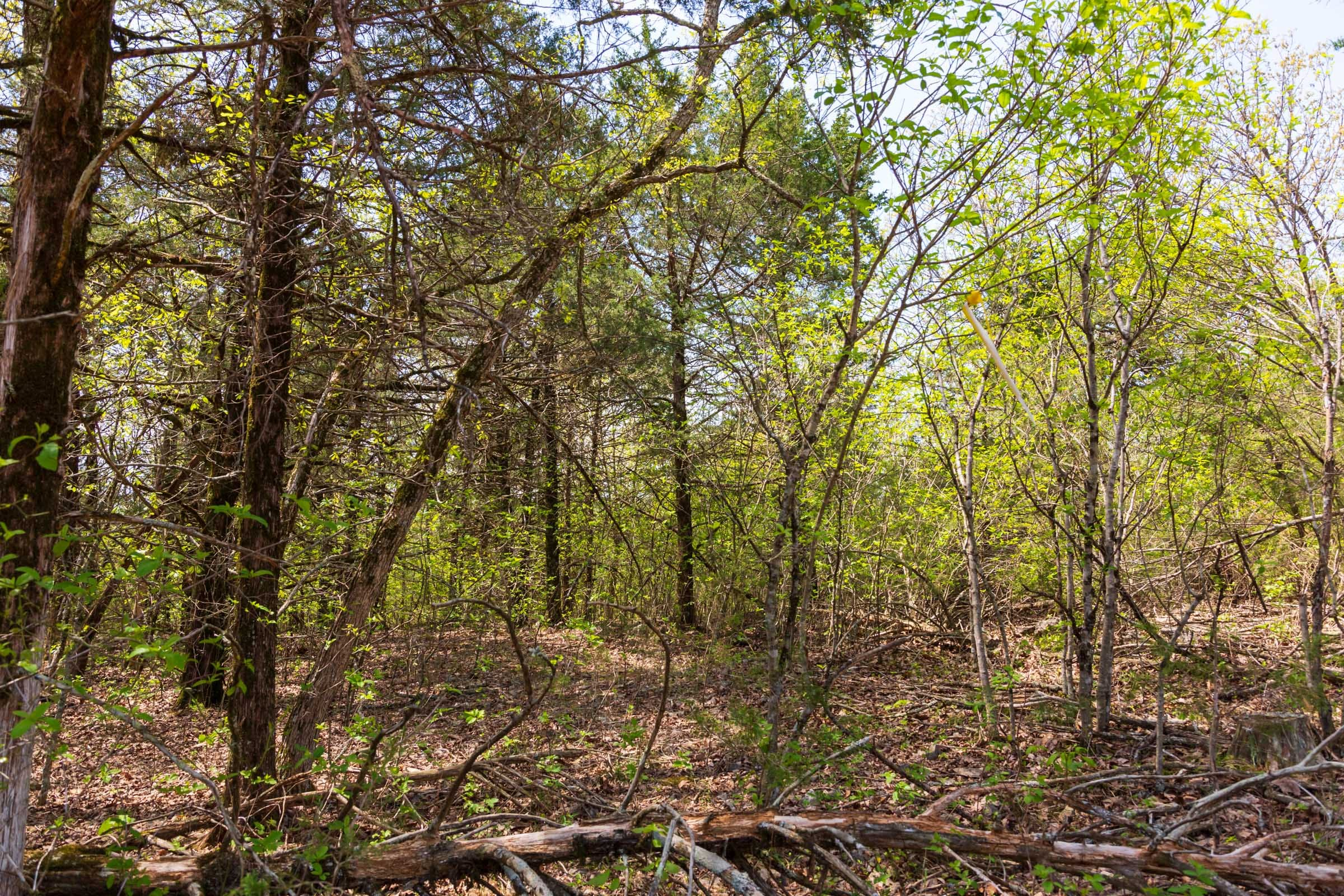 Tract 4 at Autumnwood in Fulton County, Arkansas