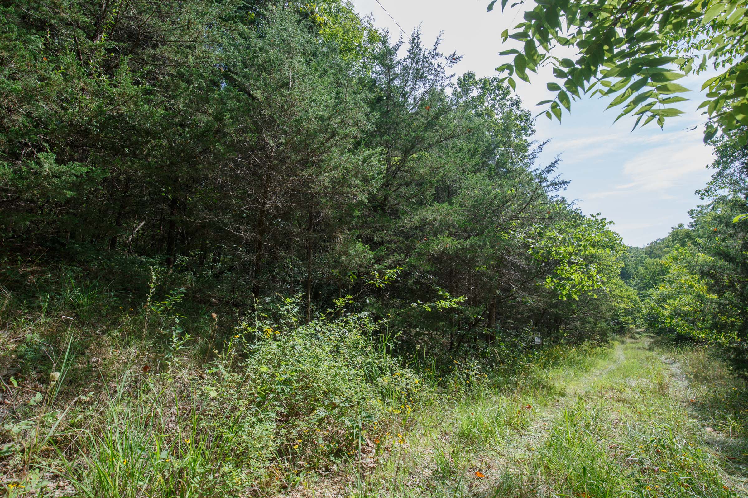 Tract 151 at Springlake in Miller County, Missouri